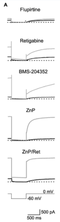 Kv7.1 structure