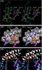 Kv7.1 structure