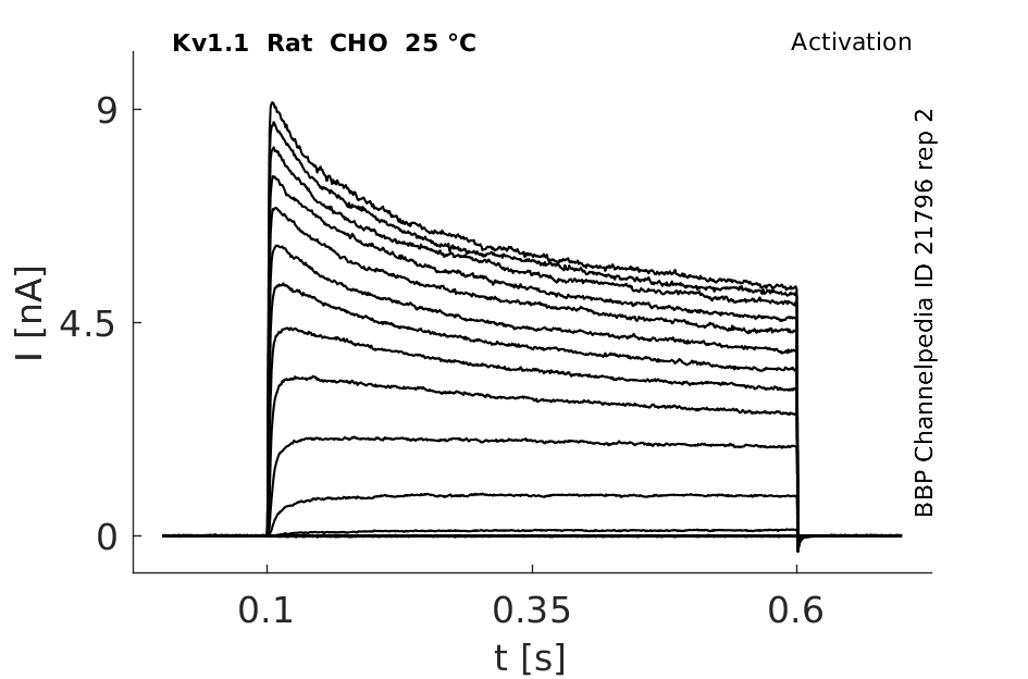 C21796 activation rep2