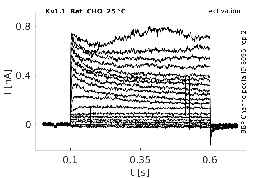 C8095 activation rep2