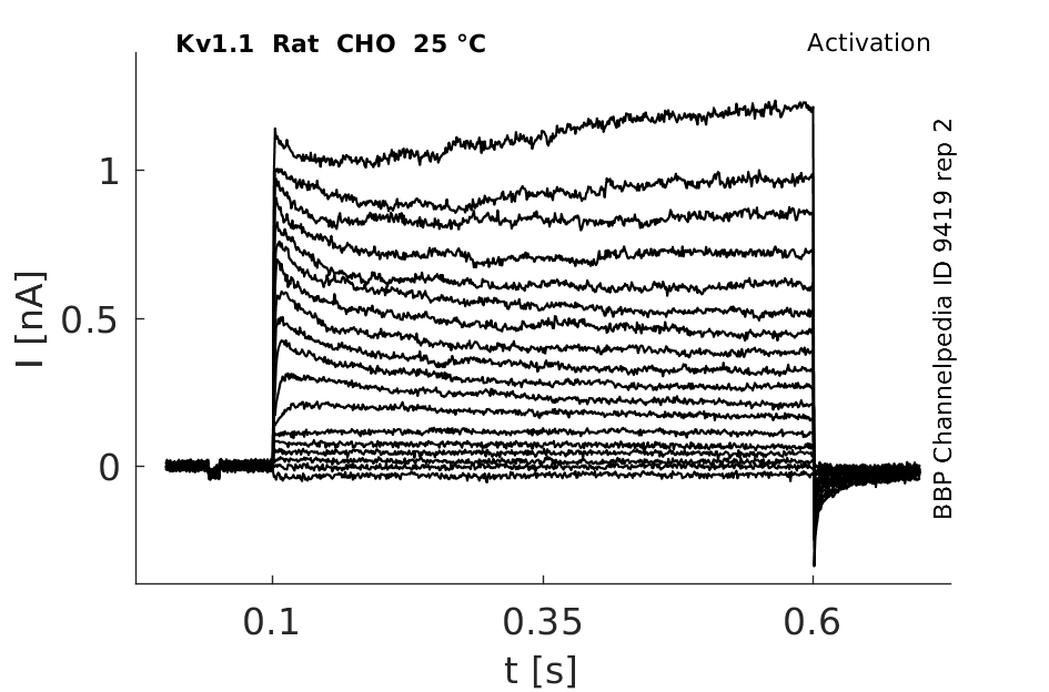 C9419 activation rep2